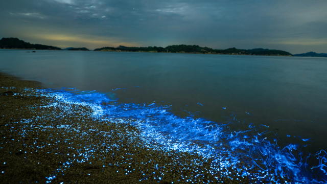 UNO HOTEL 幻想的な海ほたると温泉を楽しむホテル宿泊プラン(7/21~10/31)